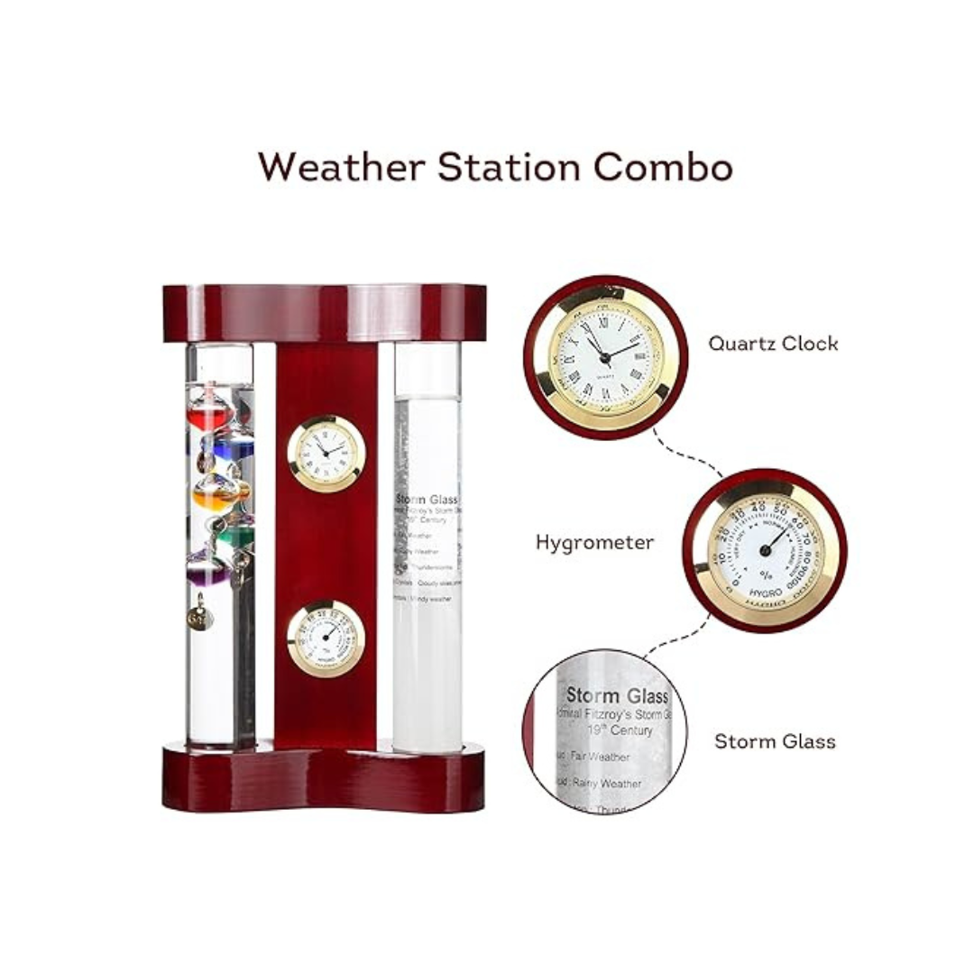 Lily's analog home weather station Combo