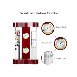 Lily's analog home weather station Combo