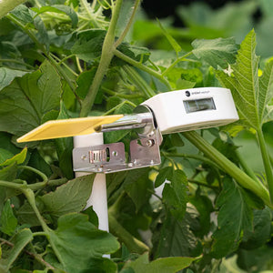 Leaf Wetness Sensor - Ambient Weather Station