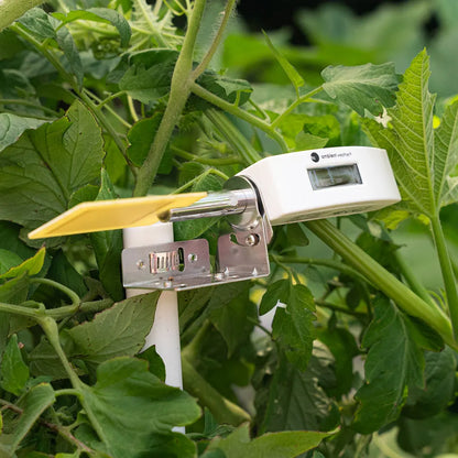 Leaf Wetness Sensor - Ambient Weather Station